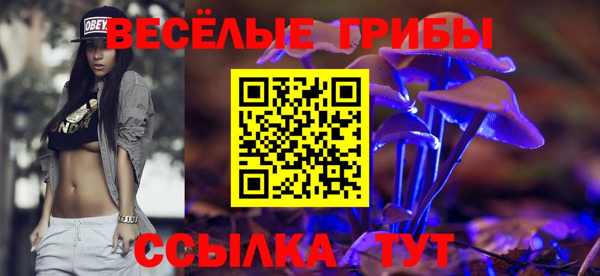 Псилоцибиновые грибы Cubensis  наркотики  Вышний Волочёк  Псилоцибиновые грибы MAGIC MUSHROOMS  Вход с VPN 